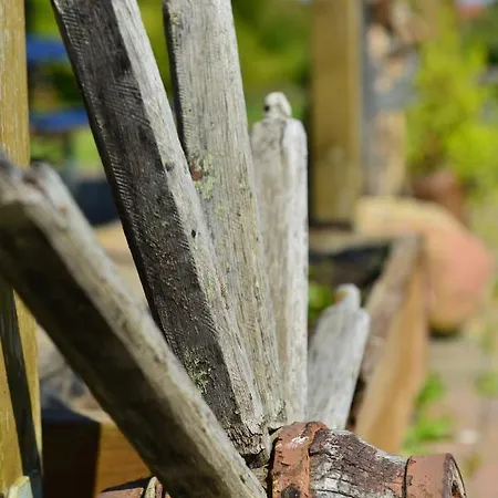 Milow * Polchow (Vorpommern-Rugen)