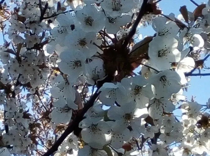 Milow Διαμέρισμα *