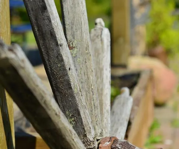 Milow * Polchow (Vorpommern-Rugen)