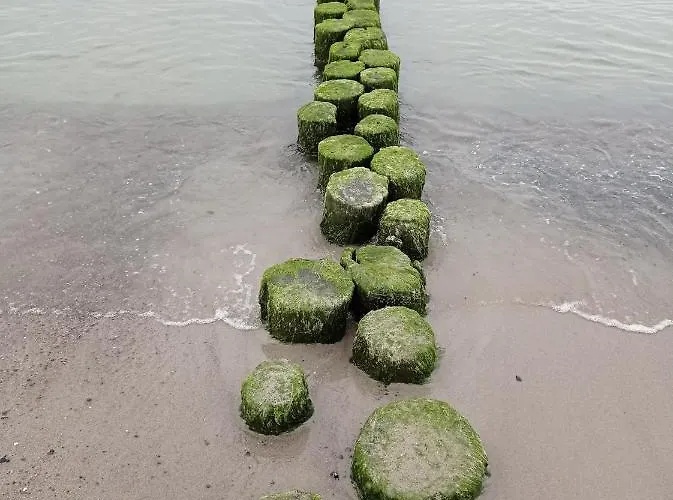 Διαμέρισμα Milow Polchow (Vorpommern-Rugen)